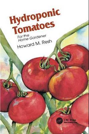 Hydroponic Tomatoes