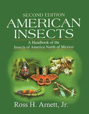 American Insects