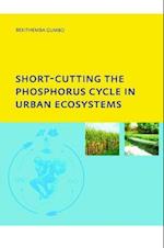 Short-cutting the Phosphorus Cycle in Urban Ecosystems