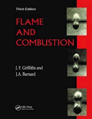 Flame and Combustion