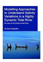 Modelling Approaches to Understand Salinity Variations in a Highly Dynamic Tidal River