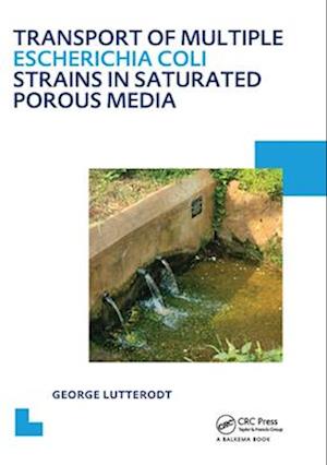 Transport of multiple Escherichia coli strains in saturated porous media