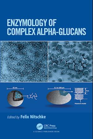 Enzymology of Complex Alpha-Glucans