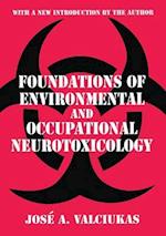 Foundations of Environmental and Occupational Neurotoxicology