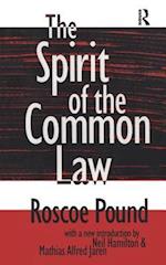 The Spirit of the Common Law