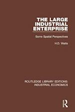 The Large Industrial Enterprise