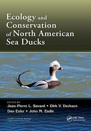 Ecology and Conservation of North American Sea Ducks