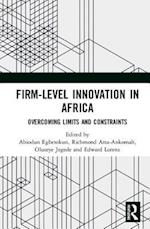 Firm-Level Innovation In Africa