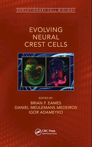 Evolving Neural Crest Cells