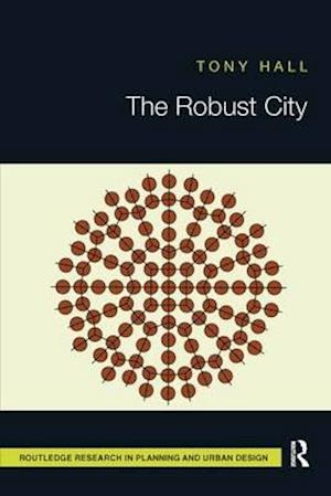 The Robust City