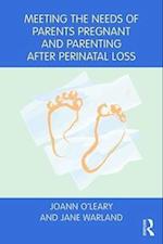 Meeting the Needs of Parents Pregnant and Parenting After Perinatal Loss