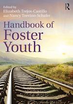 Handbook of Foster Youth