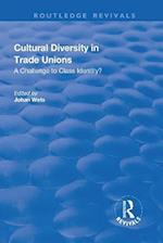 Cultural Diversity in Trade Unions: A Challenge to Class Identity?