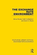 The Exchange Rate Environment