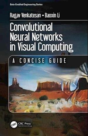 Convolutional Neural Networks in Visual Computing