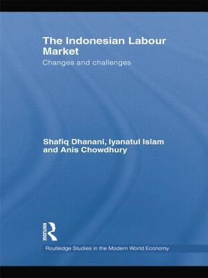 The Indonesian Labour Market