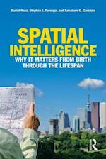 Spatial Intelligence