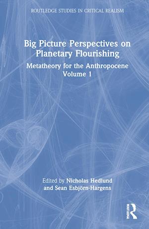 Big Picture Perspectives on Planetary Flourishing