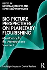 Big Picture Perspectives on Planetary Flourishing