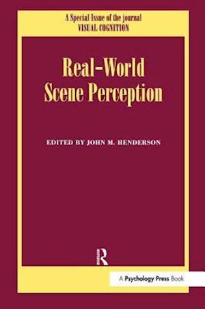 Real World Scene Perception