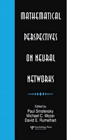 Mathematical Perspectives on Neural Networks