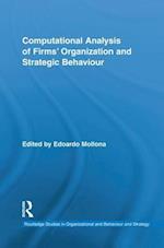 Computational Analysis of Firms' Organization and Strategic Behaviour