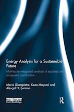 Energy Analysis for a Sustainable Future