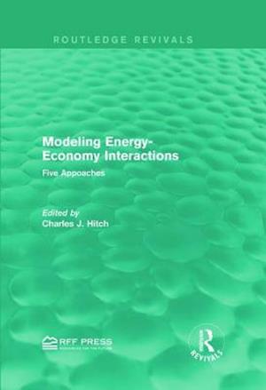Modeling Energy-Economy Interactions