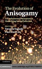 Evolution of Anisogamy