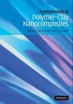 Fundamentals of Polymer-Clay Nanocomposites