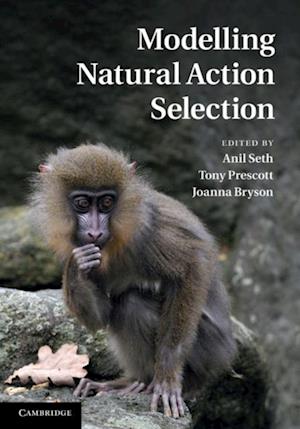 Modelling Natural Action Selection