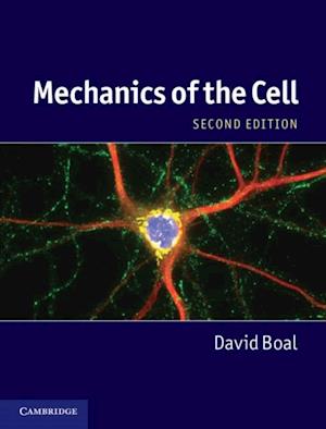 Mechanics of the Cell