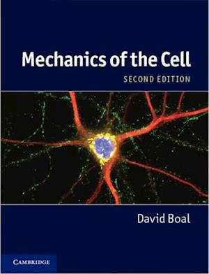 Mechanics of the Cell