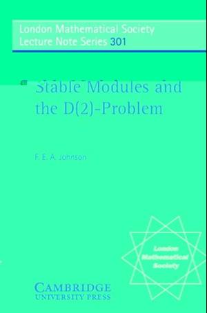 Stable Modules and the D(2)-Problem