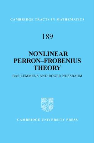 Nonlinear Perron-Frobenius Theory