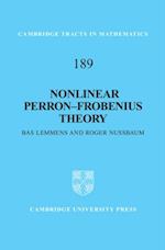 Nonlinear Perron-Frobenius Theory