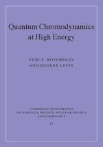 Quantum Chromodynamics at High Energy