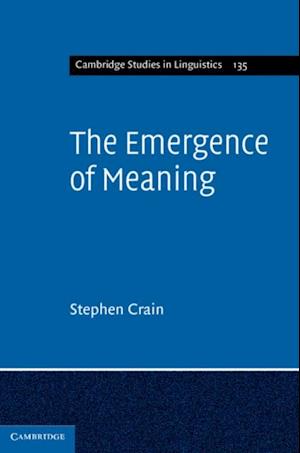 Emergence of Meaning