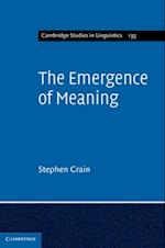 Emergence of Meaning