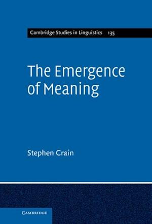 Emergence of Meaning