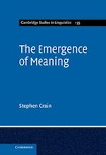 Emergence of Meaning