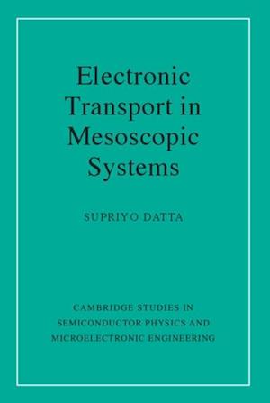 Electronic Transport in Mesoscopic Systems