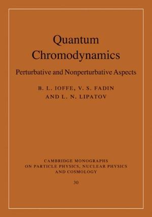 Quantum Chromodynamics