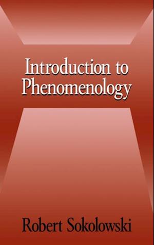 Introduction to Phenomenology