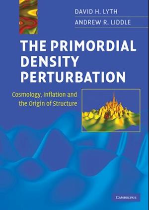 Primordial Density Perturbation