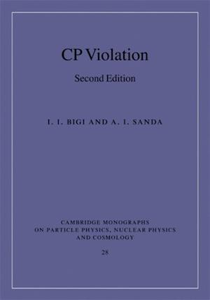 CP Violation