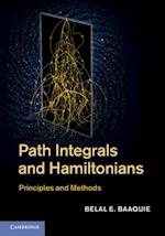 Path Integrals and Hamiltonians