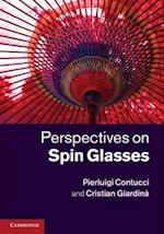 Perspectives on Spin Glasses