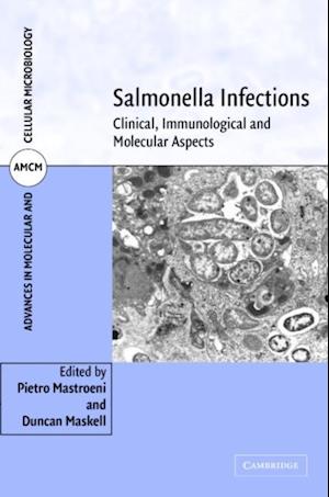 Salmonella Infections