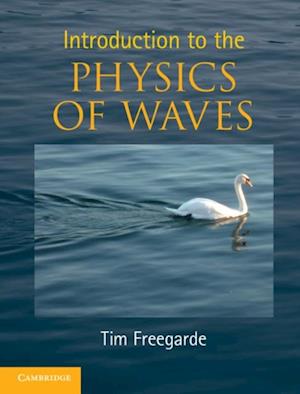 Introduction to the Physics of Waves